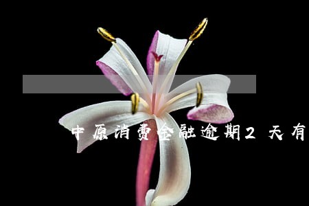 中原消费金融逾期2天有没有影响 中原消费金融逾期2天有没有影响