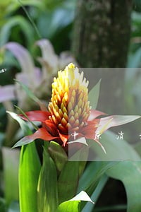 中原消费金融逾期31天 中原消费金融逾期31天