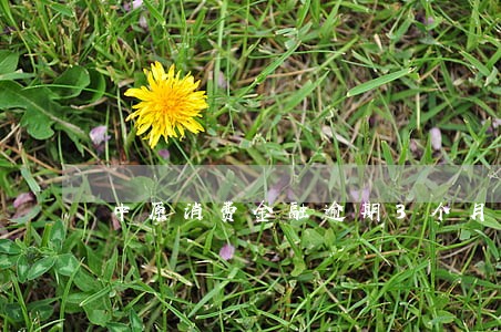 中原消费金融逾期3个月总共7千 中原消费金融逾期3个月总共7千
