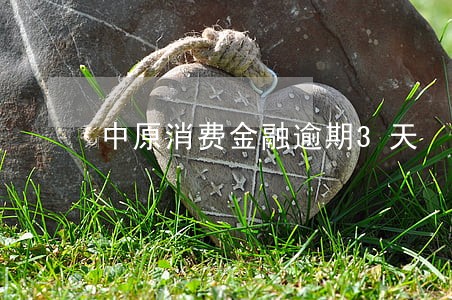 中原消费金融逾期3天 中原消费金融逾期3天