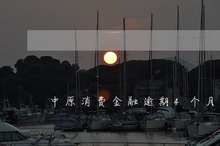 中原消费金融逾期4个月 中原消费金融逾期4个月