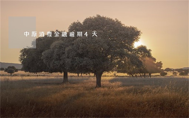中原消费金融逾期4天 中原消费金融逾期4天