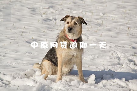 中原网贷逾期一天 中原网贷逾期一天