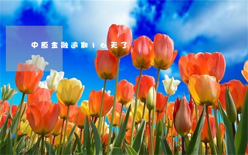 中原金融逾期16天了 中原金融逾期16天了