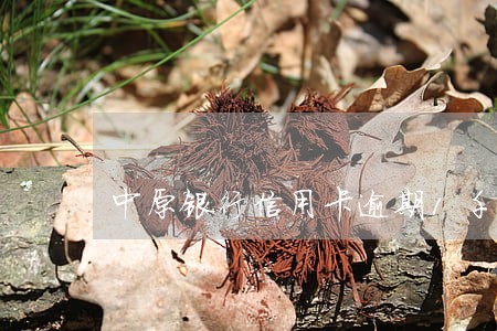 中原银行信用卡逾期1千多减免