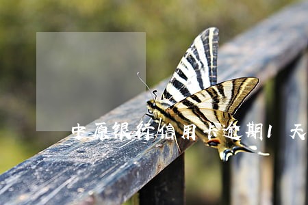 中原银行信用卡逾期1天上征信吗 中原银行信用卡逾期1天上征信吗