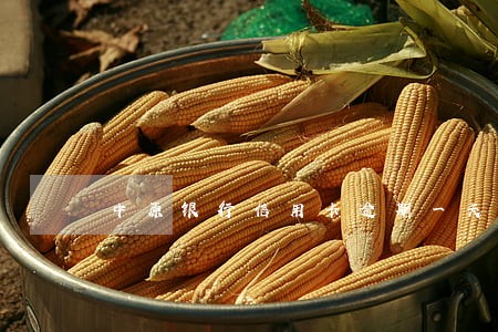 中原银行信用卡逾期一天还可以吗 中原银行信用卡逾期一天还可以吗