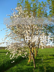 中原银行信用卡逾期利息 中原银行信用卡逾期利息