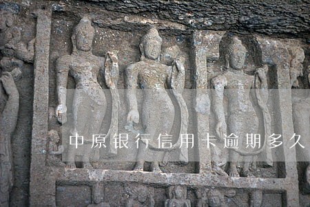 中原银行信用卡逾期多久会被立案 中原银行信用卡逾期多久会被立案