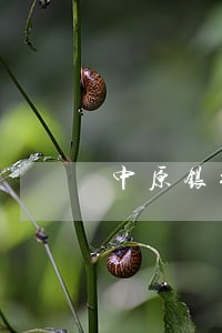 中原银行信用卡逾期收到邮件 中原银行信用卡逾期收到邮件