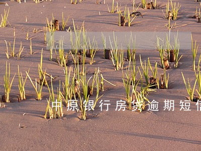 中原银行房贷逾期短信内容 中原银行房贷逾期短信内容