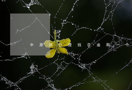 中原银行提钱花逾期一个月