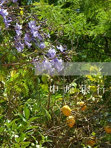 中原银行欠款逾期 中原银行欠款逾期