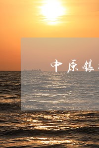 中原银行逾期协商 中原银行逾期协商