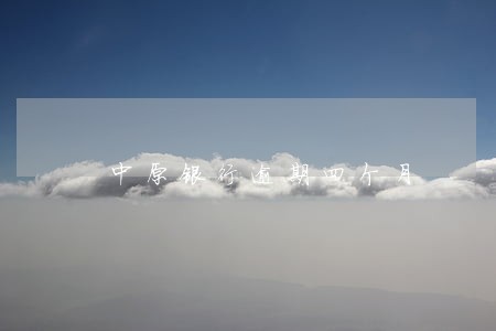 中原银行逾期四个月 中原银行逾期四个月