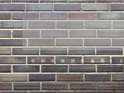 中和农信贷款逾期10天