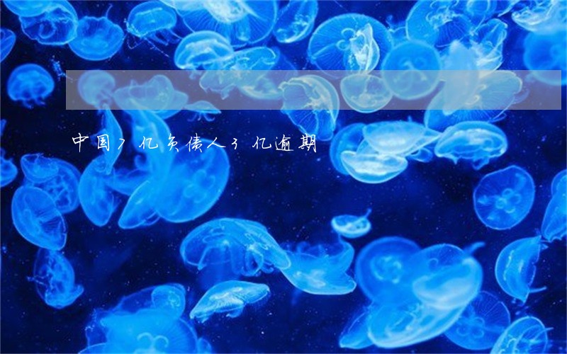 中国7亿负债人3亿逾期 中国7亿负债人3亿逾期