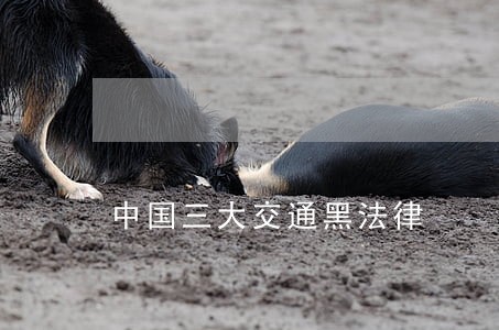 中国三大交通黑法律 中国三大交通黑法律