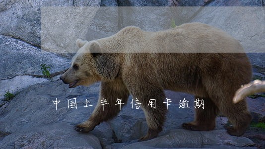 中国上半年信用卡逾期 中国上半年信用卡逾期