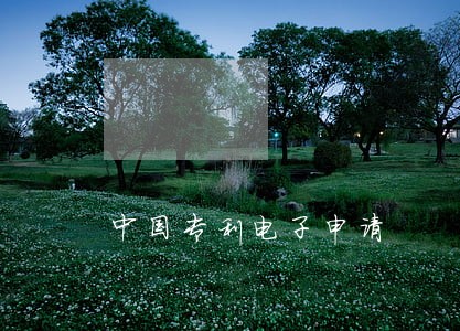 中国专利电子申请 中国专利电子申请