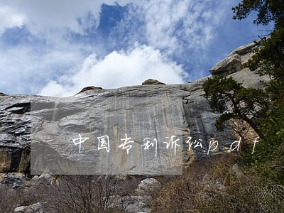 中国专利诉讼pdf 中国专利诉讼pdf
