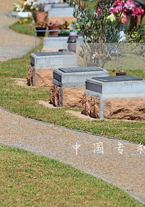 中国专利诉讼侵权 中国专利诉讼侵权