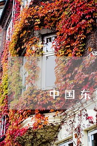 中国东盟法律合作中心广西
