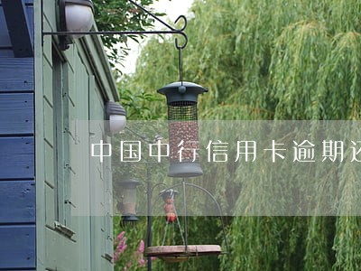 中国中行信用卡逾期还款 中国中行信用卡逾期还款