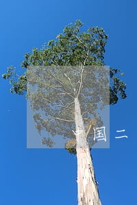 中国二本司法类大学排名及分数线