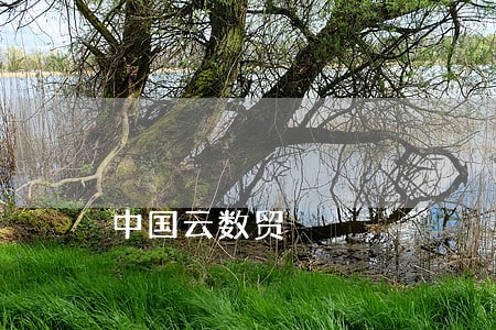 中国云数贸 中国云数贸
