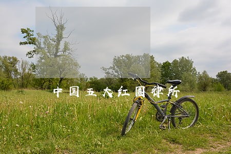 中国五大红圈律所 中国五大红圈律所