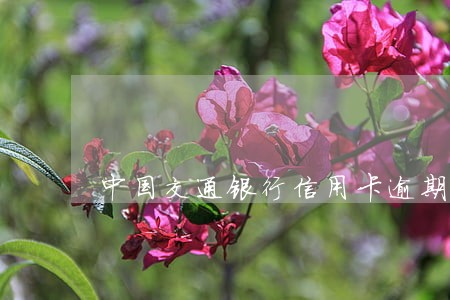 中国交通银行信用卡逾期手续费 中国交通银行信用卡逾期手续费
