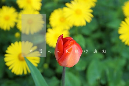 中国人人民银行逾期 中国人人民银行逾期