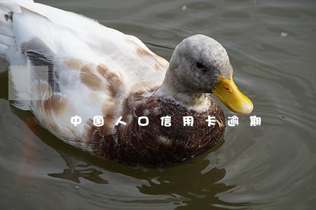 中国人口信用卡逾期 中国人口信用卡逾期
