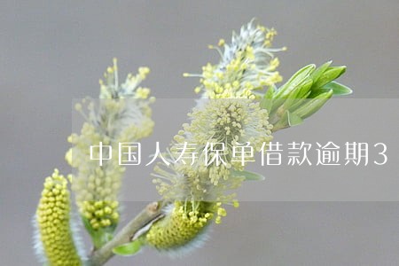 中国人寿保单借款逾期3天 中国人寿保单借款逾期3天