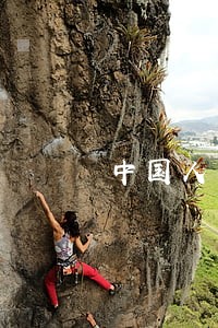 中国人有多少信用卡逾期