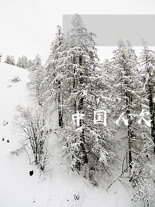 中国人欠信用卡逾期 中国人欠信用卡逾期