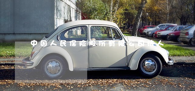 中国人民保险股份有限公司法人 中国人民保险股份有限公司法人