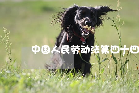 中国人民劳动法第四十四条 中国人民劳动法第四十四条