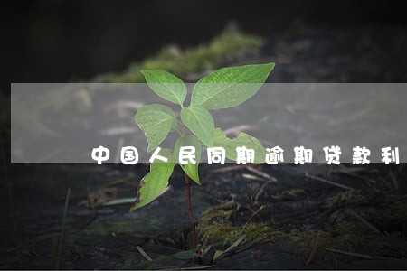 中国人民同期逾期贷款利率 中国人民同期逾期贷款利率