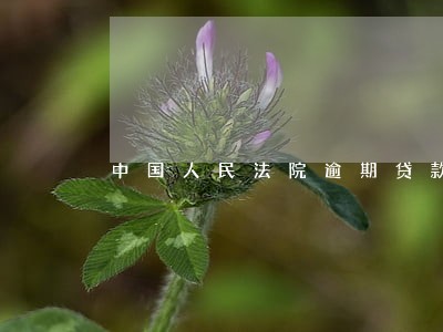 中国人民法院逾期贷款罚息 中国人民法院逾期贷款罚息