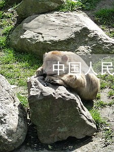 中国人民银行信用卡逾期二年 中国人民银行信用卡逾期二年