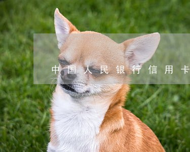 中国人民银行信用卡逾期章程