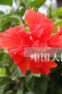 中国人民银行借款逾期利率 中国人民银行借款逾期利率