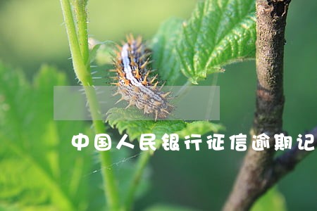 中国人民银行征信逾期记录能改吗 中国人民银行征信逾期记录能改吗