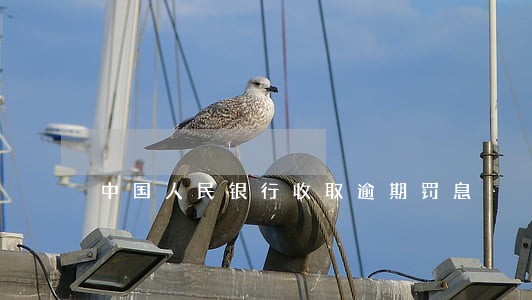 中国人民银行收取逾期罚息