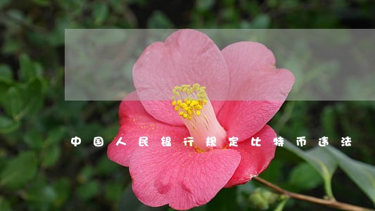 中国人民银行规定比特币违法 中国人民银行规定比特币违法