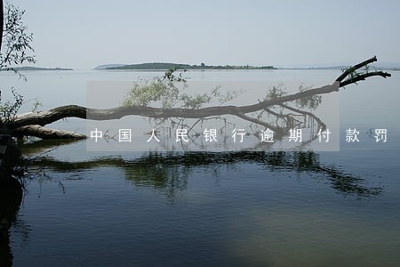 中国人民银行逾期付款罚息 中国人民银行逾期付款罚息