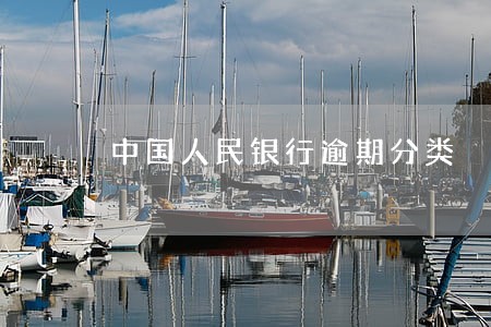 中国人民银行逾期分类 中国人民银行逾期分类