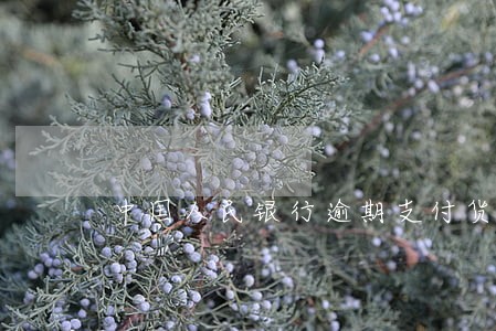 中国人民银行逾期支付货款利息 中国人民银行逾期支付货款利息